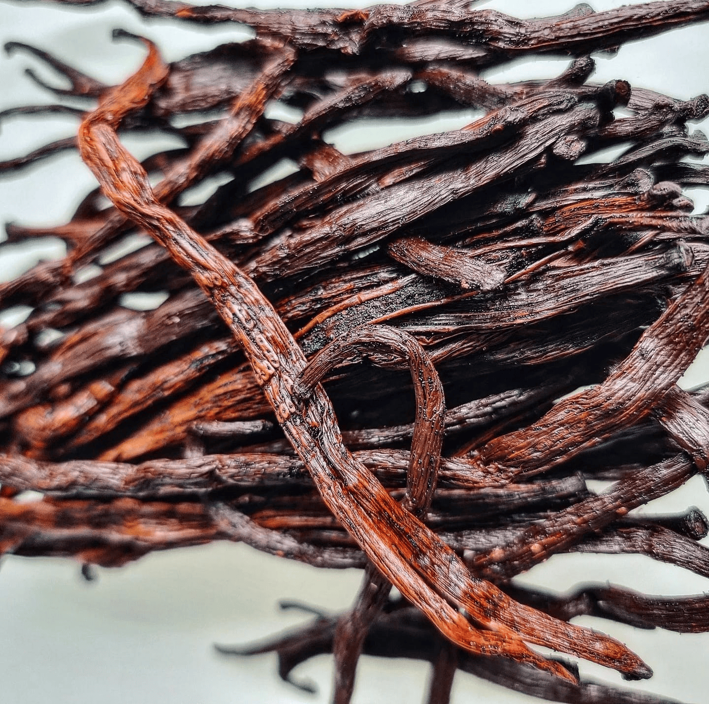 Vanille Rouge de Madagascar